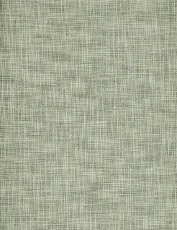 PRIMACOR LONDON (PRIMADERA)