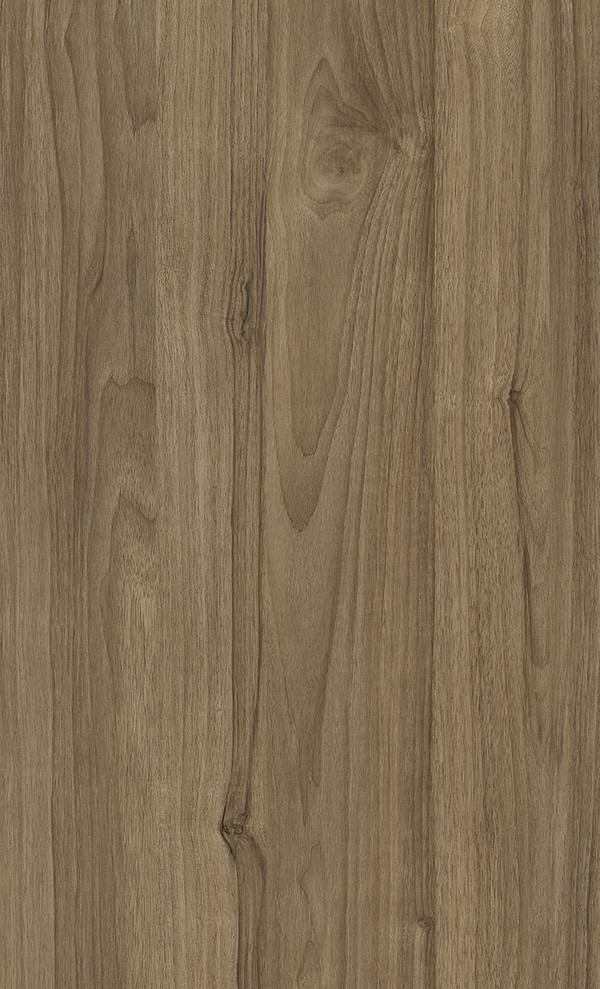 PRIMACOR SIKUANI (PRIMADERA)